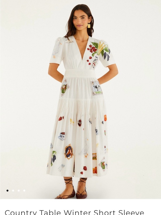 FARM Rio Dresses & Skirts - Farm Rio Country Table Winter Short Sleeve Midi Dress size S